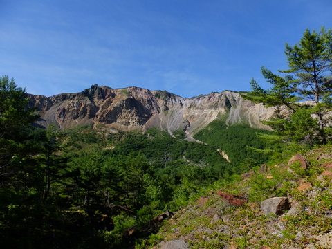 a0043982_1753303.jpg