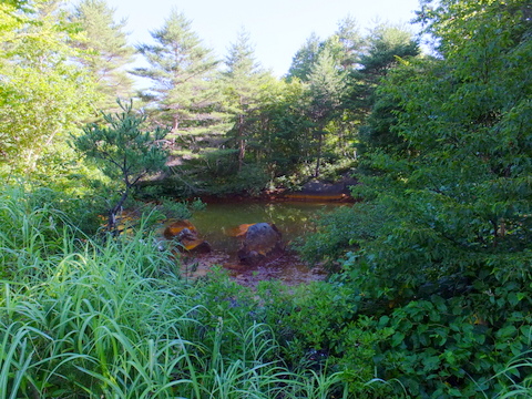 a0043982_17541461.jpg