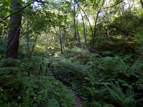a0043982_17543131.jpg