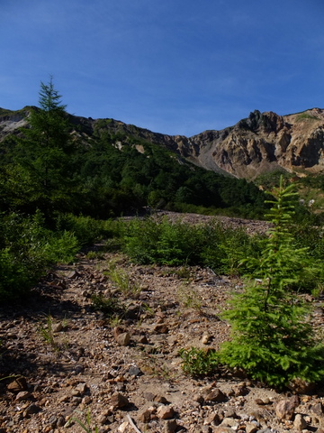 a0043982_20275571.jpg