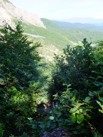 a0043982_20291919.jpg