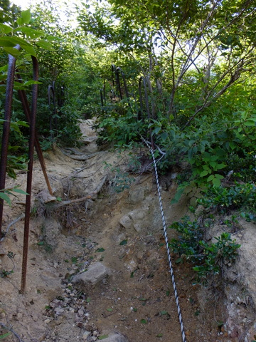 a0043982_20293753.jpg