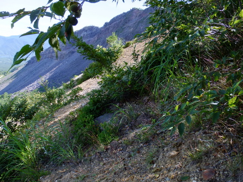 a0043982_20294790.jpg