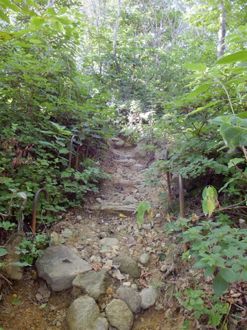 a0043982_20301184.jpg