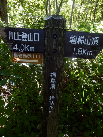 a0043982_20302757.jpg