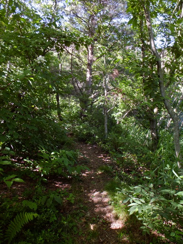 a0043982_20303423.jpg