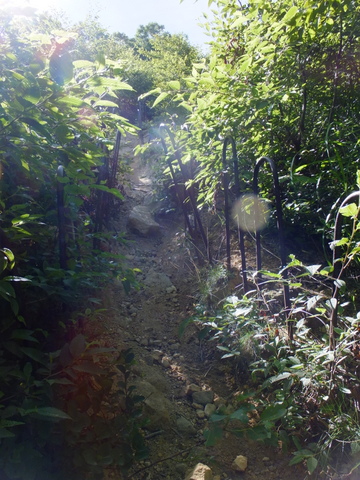 a0043982_2030374.jpg