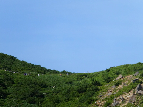 a0043982_21242484.jpg