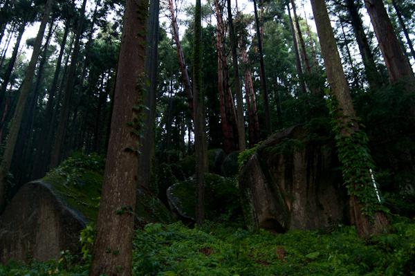 a0053783_15525855.jpg