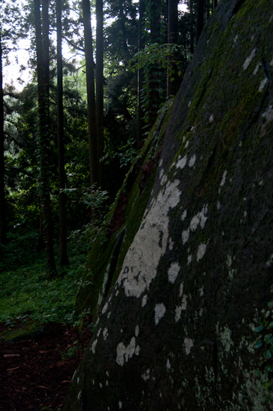 a0053783_15552216.jpg
