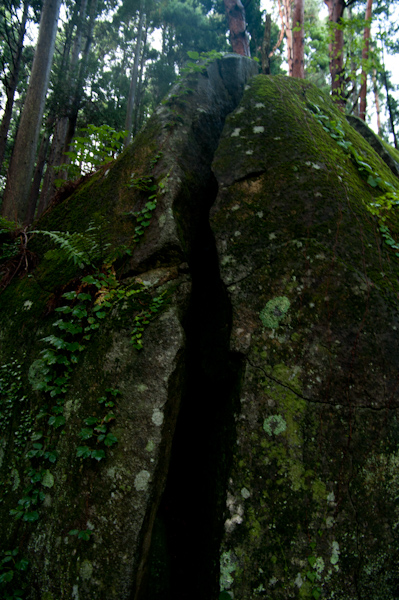 a0053783_1555721.jpg