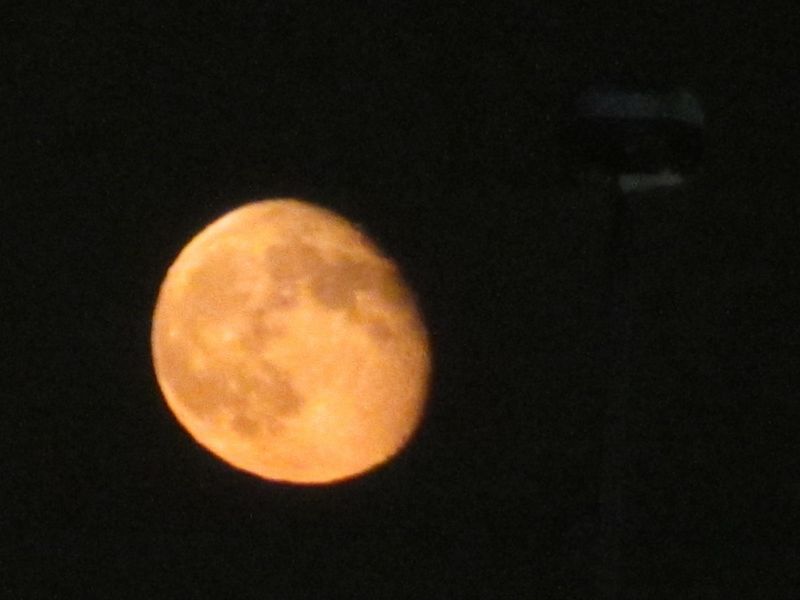 b0202185_8472770.jpg