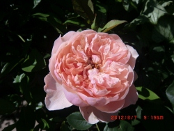 c0078586_22142361.jpg