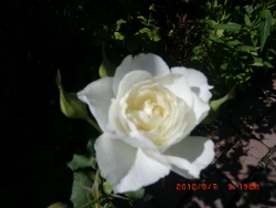 c0078586_2216169.jpg