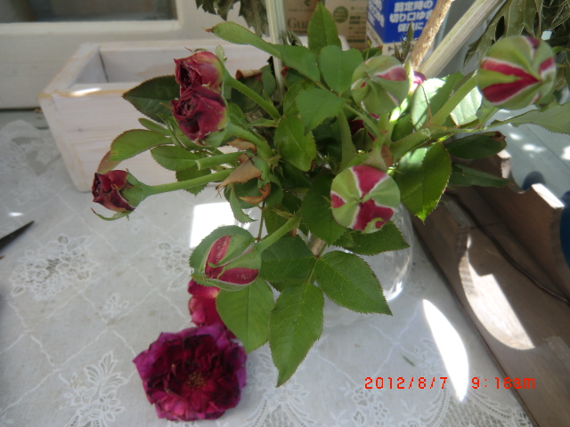 c0078586_2291644.jpg
