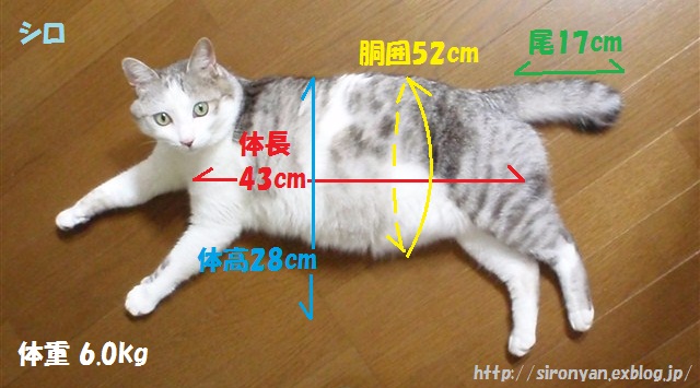 a0159490_9543354.jpg