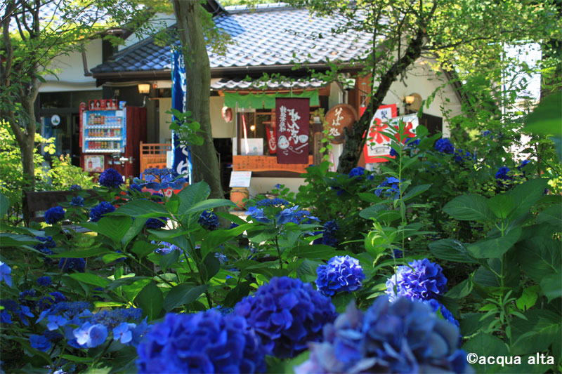 d0217090_2154258.jpg