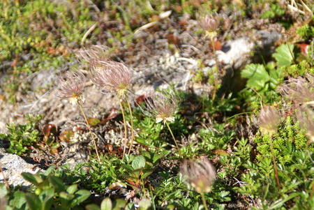 e0271890_1722118.jpg