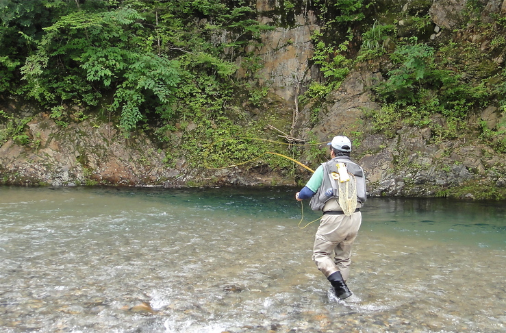 f0141392_18374363.jpg