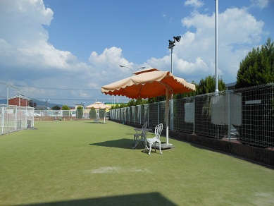 a0137294_2384178.jpg