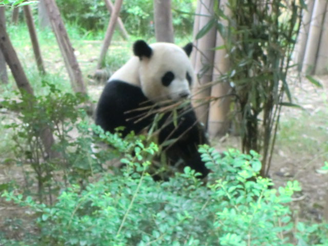 b0044296_21235384.jpg
