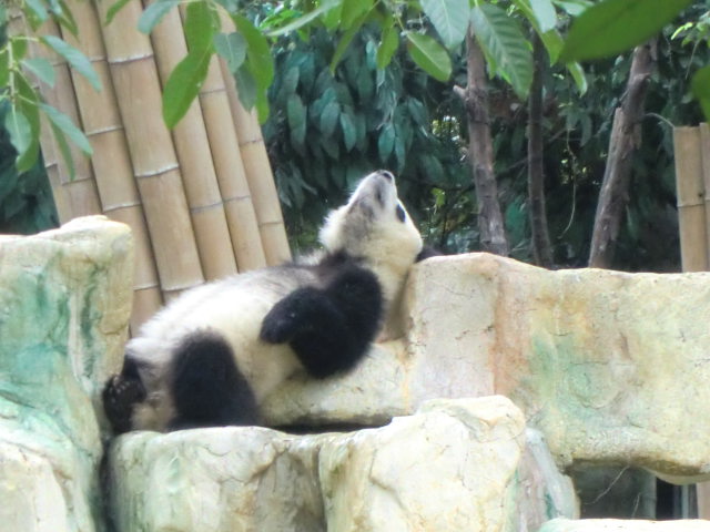 b0044296_21243296.jpg