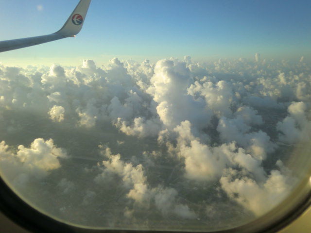 b0044296_2183944.jpg