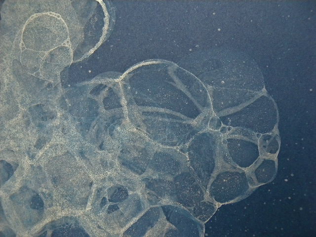a0199297_23515180.jpg