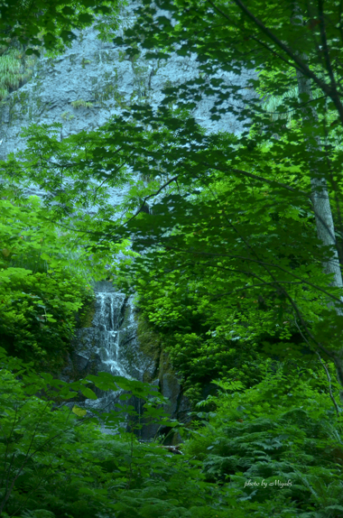 a0161698_1952961.jpg