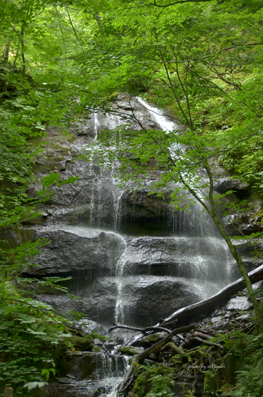 a0161698_19543571.jpg