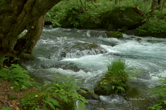 a0161698_1954639.jpg