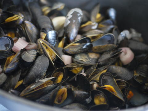 c0090198_285496.jpg