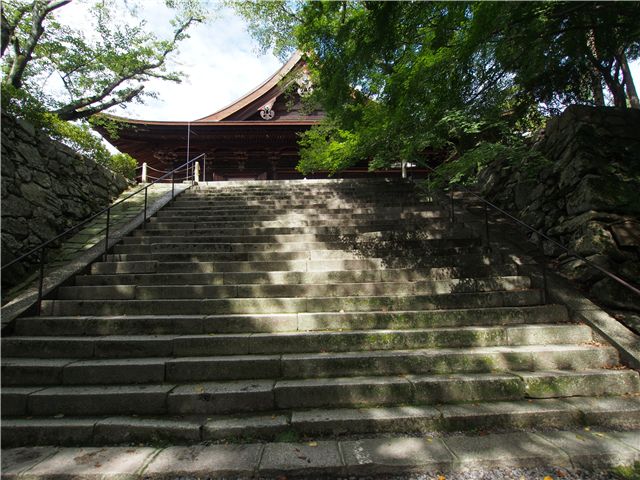f0224100_6162536.jpg