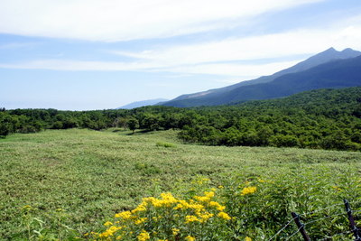 c0148705_9424521.jpg