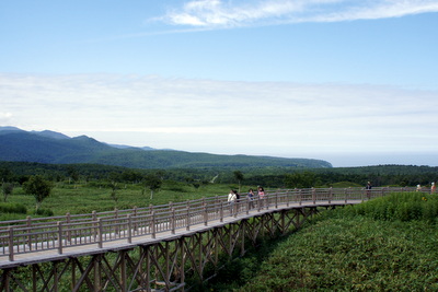 c0148705_9482558.jpg