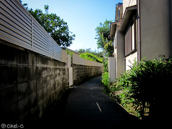 a0154706_01112.jpg