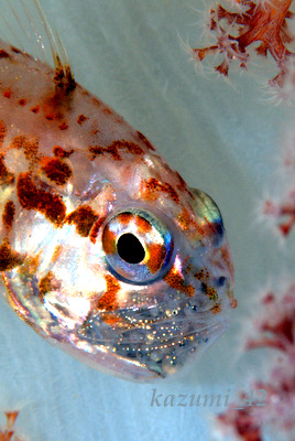b0164920_127319.jpg