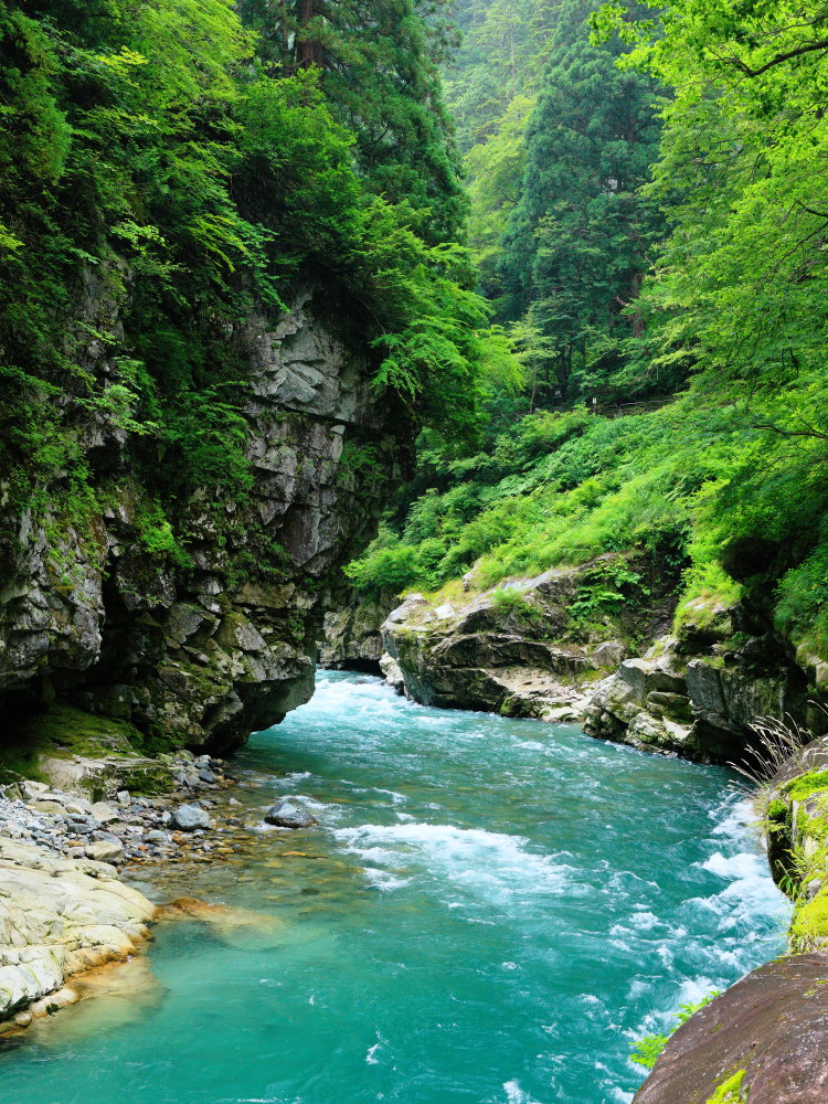 b0174626_1110519.jpg