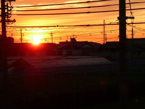 c0009528_23405262.jpg