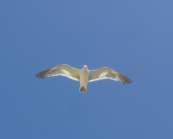 a0024829_2154124.jpg