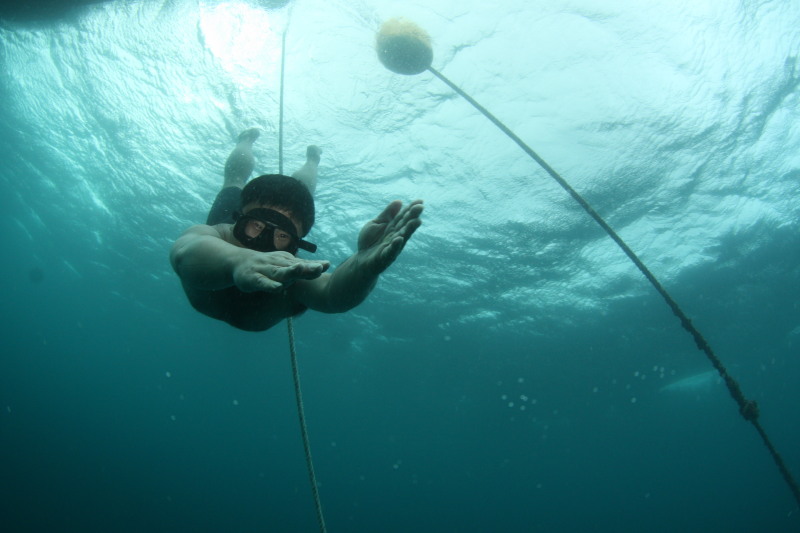 c0034029_62515.jpg