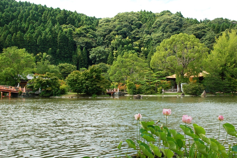 e0206031_2149913.jpg