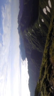 f0118332_8504715.jpg