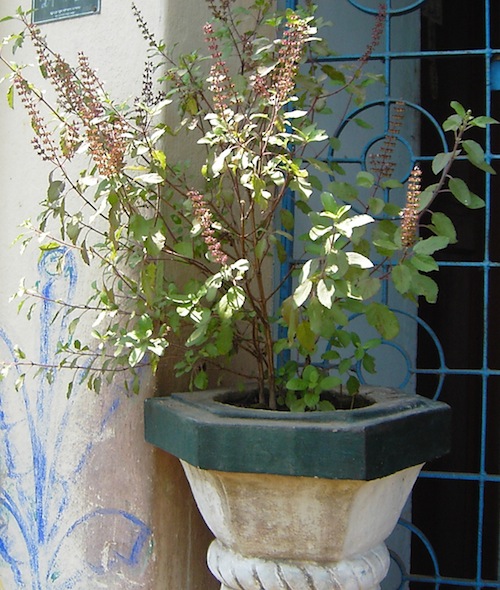 c0246034_3591276.jpg