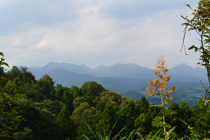e0228938_18241715.jpg