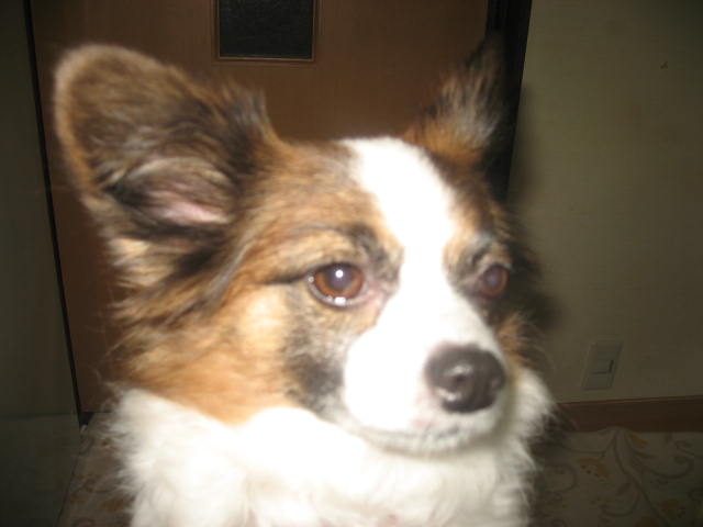 a0149240_16254735.jpg