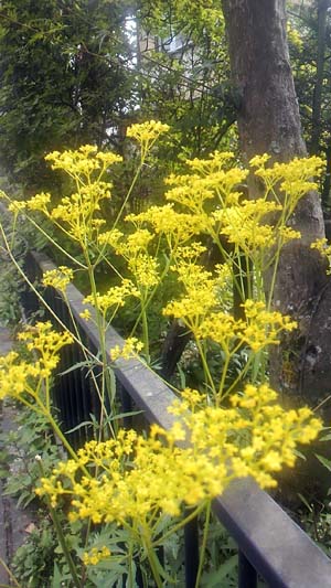 b0019140_13455545.jpg
