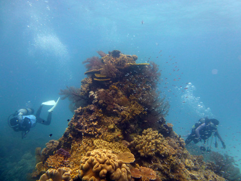 f0014842_1820532.jpg
