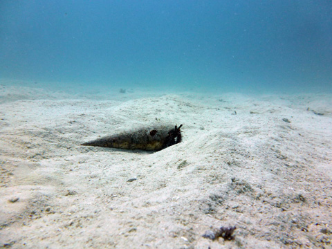 f0014842_18211084.jpg
