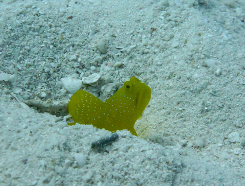 f0014842_1821178.jpg